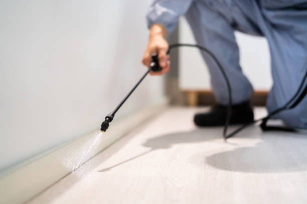 Certified termite inspector examining foundation in Harriman